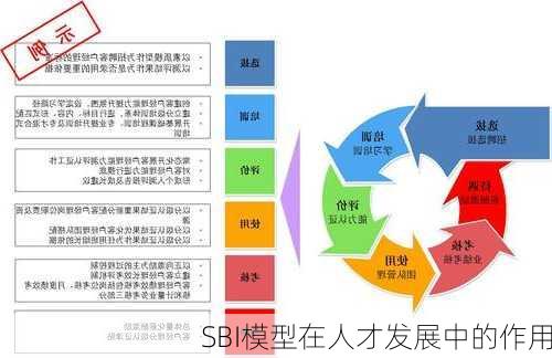 SBI模型在人才发展中的作用