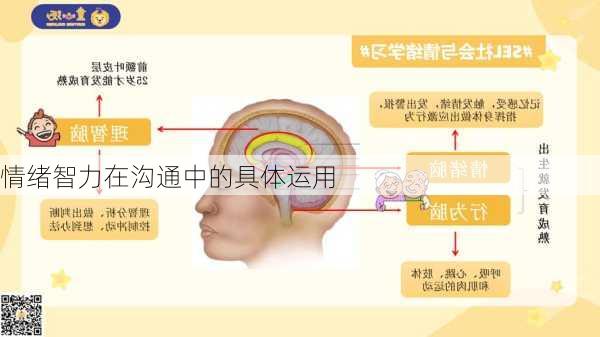 情绪智力在沟通中的具体运用