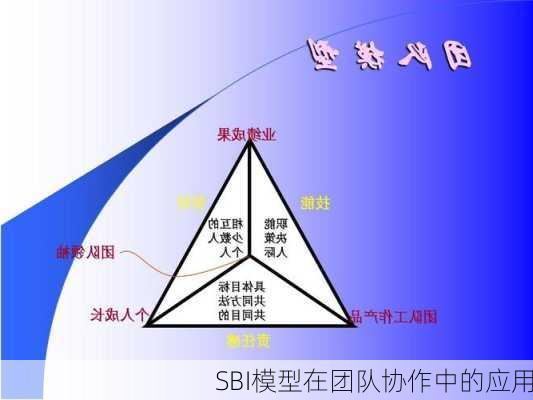 SBI模型在团队协作中的应用