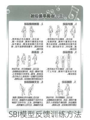 SBI模型反馈训练方法