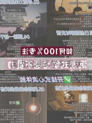 国内沉浸式学习现状