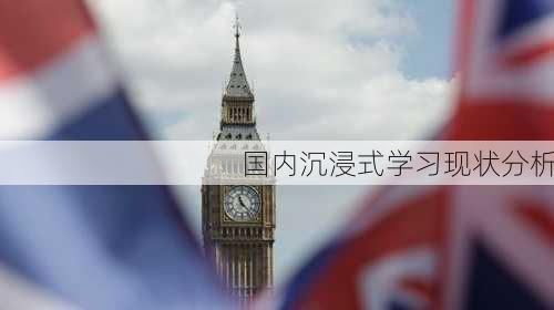国内沉浸式学习现状分析