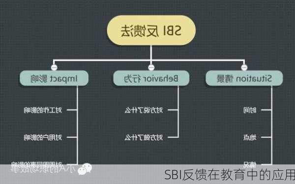SBI反馈在教育中的应用