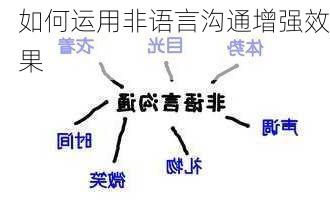 如何运用非语言沟通增强效果