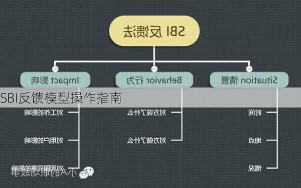 SBI反馈模型操作指南