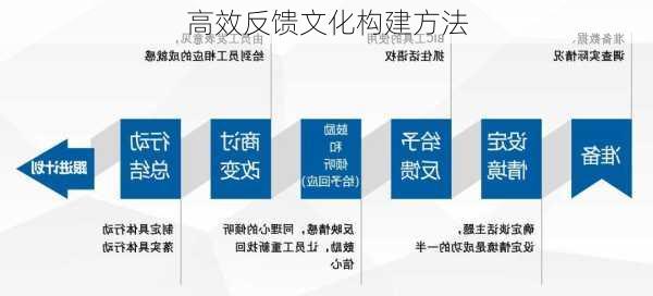 高效反馈文化构建方法