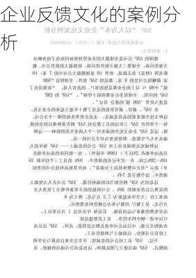 企业反馈文化的案例分析