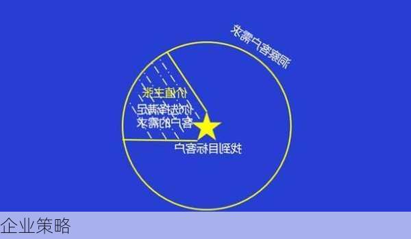 企业策略