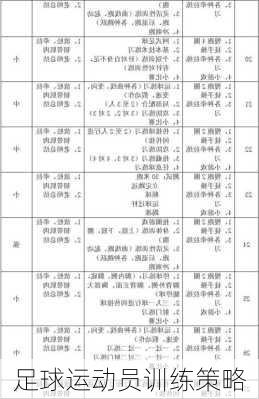 足球运动员训练策略