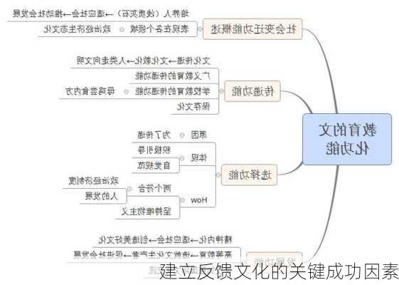 建立反馈文化的关键成功因素