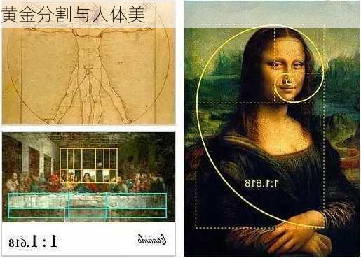 黄金分割与人体美