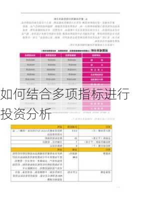 如何结合多项指标进行投资分析