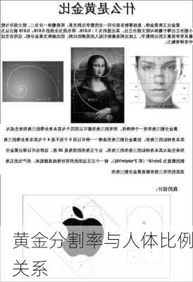 黄金分割率与人体比例关系