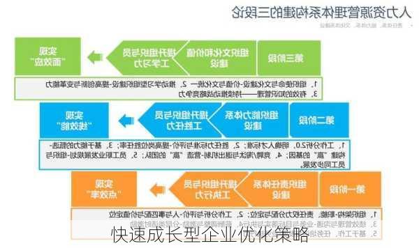 快速成长型企业优化策略