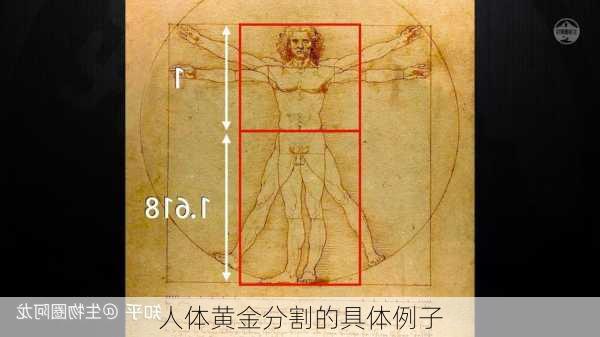 人体黄金分割的具体例子