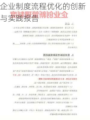 企业制度流程优化的创新与实践报告