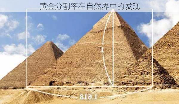 黄金分割率在自然界中的发现