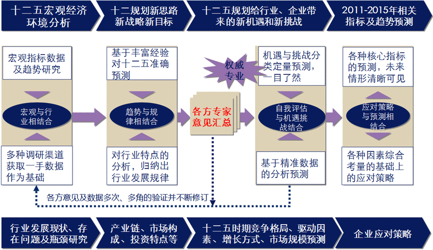 企业制度与战略对接研究