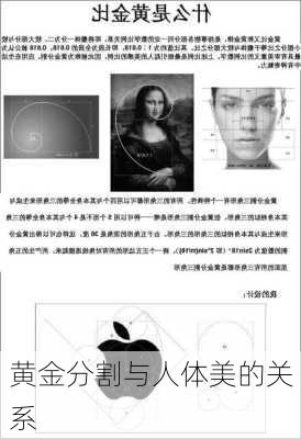 黄金分割与人体美的关系