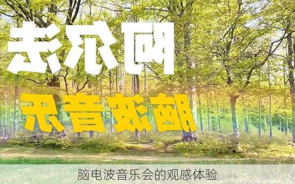 脑电波音乐会的观感体验