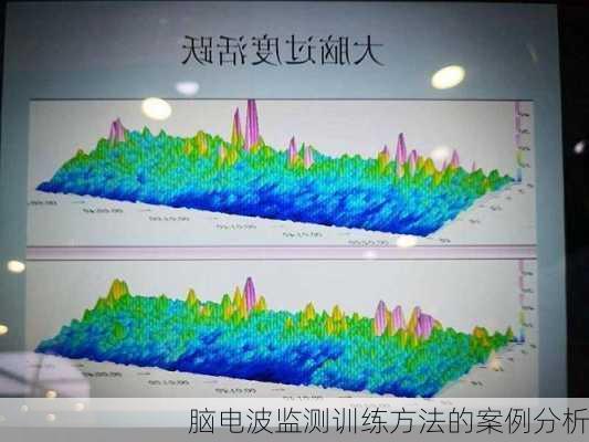 脑电波监测训练方法的案例分析