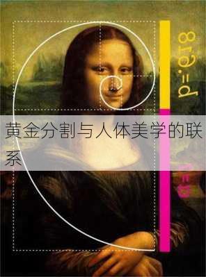黄金分割与人体美学的联系