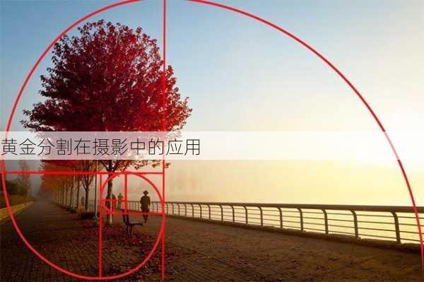 黄金分割在摄影中的应用