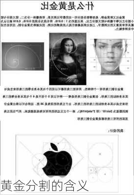 黄金分割的含义