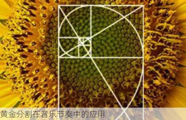 黄金分割在音乐节奏中的应用