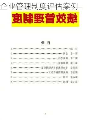 企业管理制度评估案例