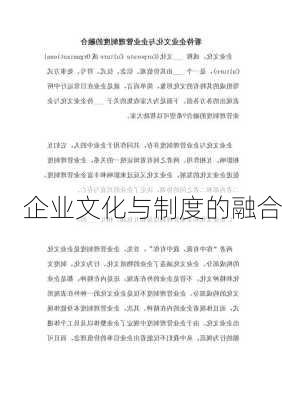 企业文化与制度的融合