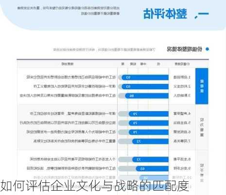 如何评估企业文化与战略的匹配度
