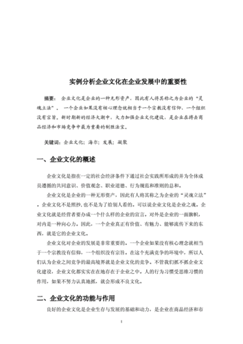 企业文化战略的实例分析