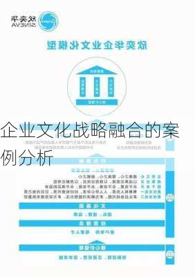 企业文化战略融合的案例分析