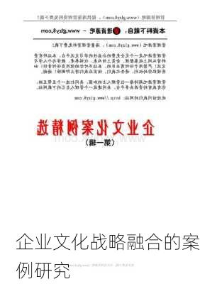 企业文化战略融合的案例研究