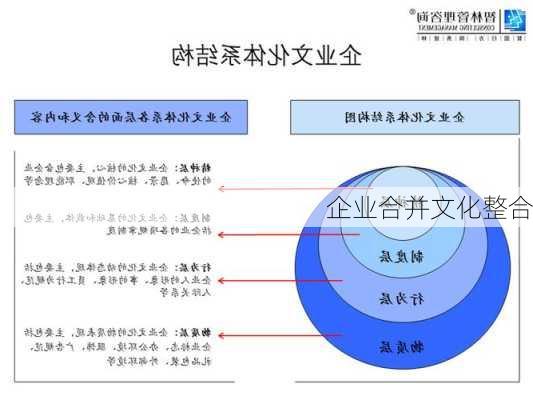 企业合并文化整合