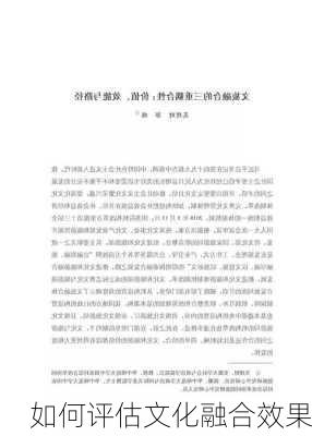 如何评估文化融合效果