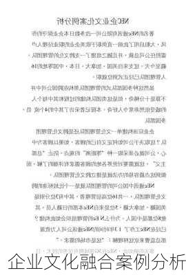 企业文化融合案例分析