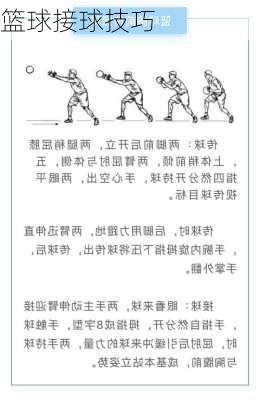 篮球接球技巧