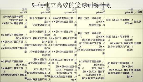 如何建立高效的篮球训练计划