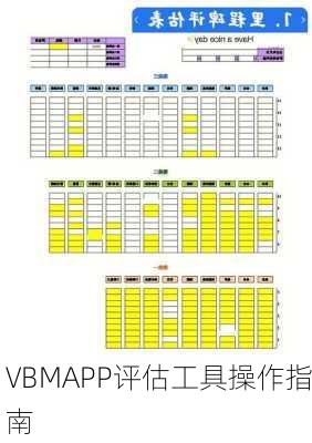 VBMAPP评估工具操作指南