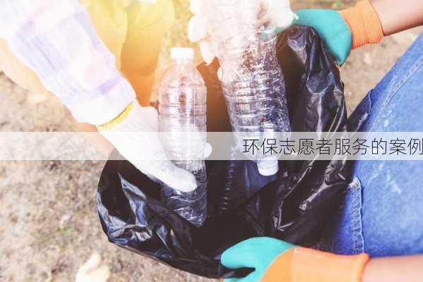 环保志愿者服务的案例
