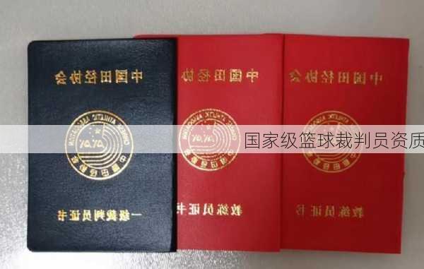 国家级篮球裁判员资质