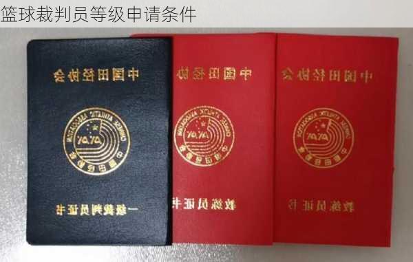 篮球裁判员等级申请条件