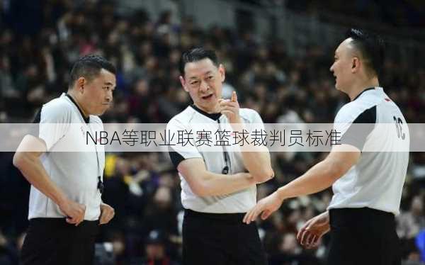 NBA等职业联赛篮球裁判员标准