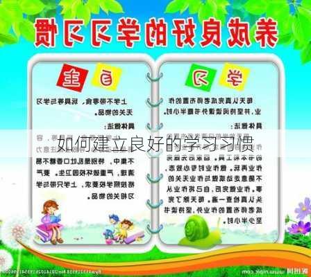 如何建立良好的学习习惯