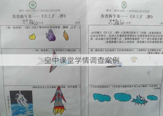 空中课堂学情调查案例