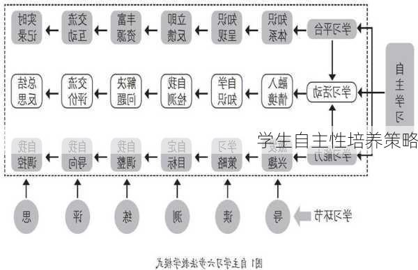 学生自主性培养策略