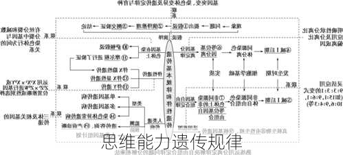 思维能力遗传规律