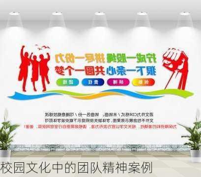 校园文化中的团队精神案例